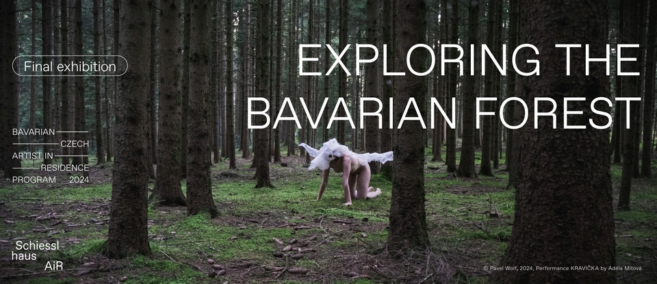 EXPLORING THE BAVARIAN FOREST